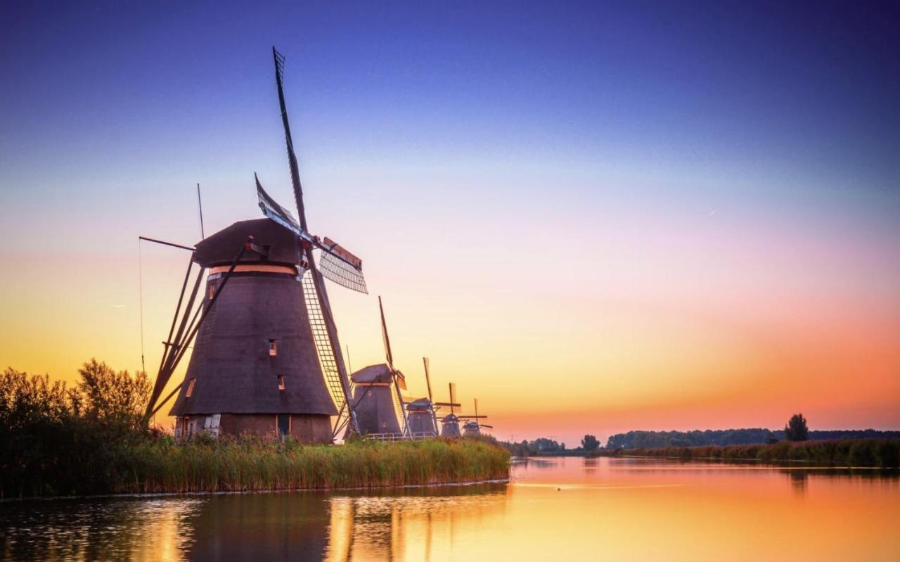 B&B Oostzomerland Mijnsheerenland Ngoại thất bức ảnh