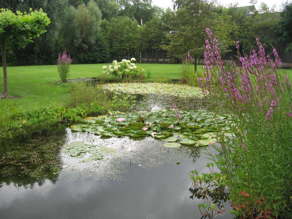 B&B Oostzomerland Mijnsheerenland Ngoại thất bức ảnh